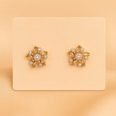 Zircon Fancy Studs-160 (Silver/Golden)